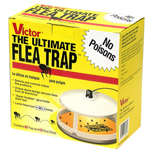 victor flea trap for homes