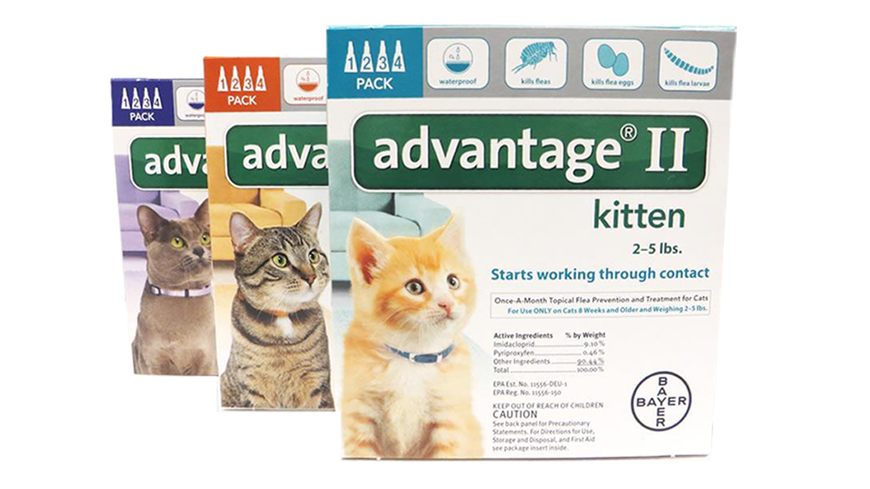 advantage 2 for cats box