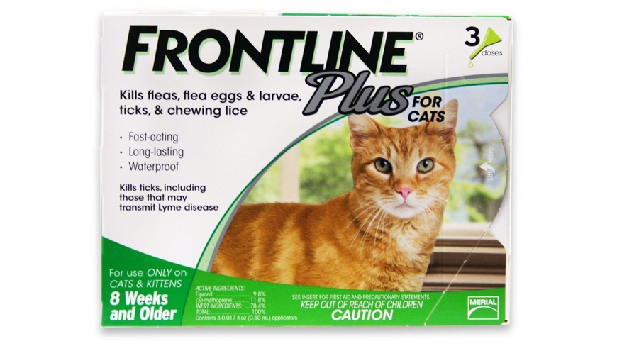 frontline plus for cats box