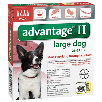 bayer advantage spot on flea drops for large dogs