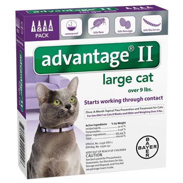 bayer advantage II imidacloprid flea drops for large cats