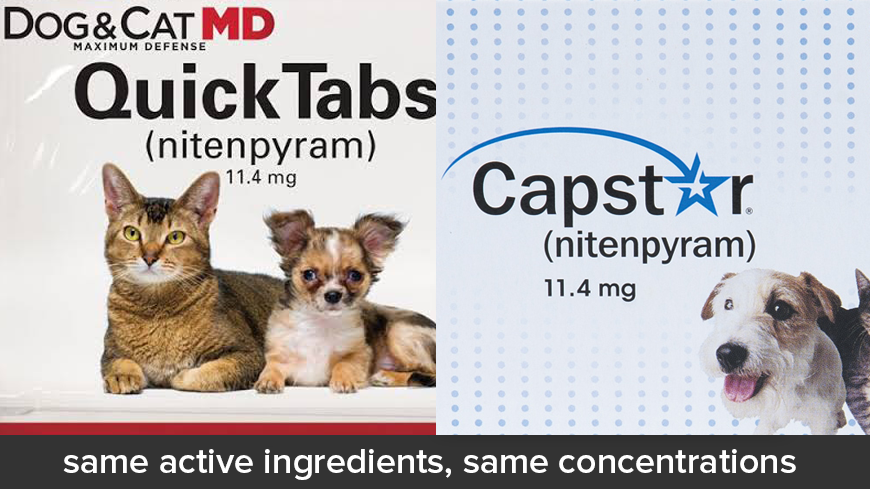 dog and cat md quick tabs
