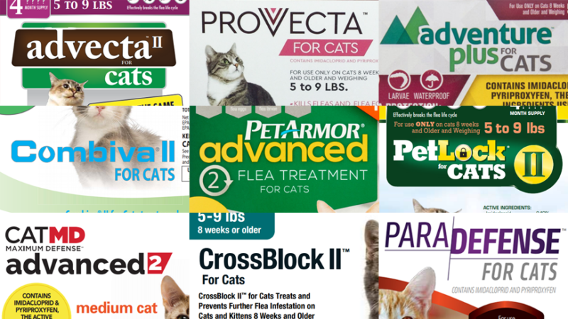 Advantage Ii Dogs Cats Low Price At 1 800 Petmeds 1800petmeds