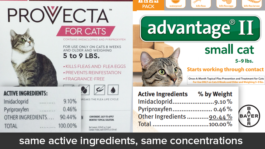 Provecta for Cats vs Advantage II for Cats