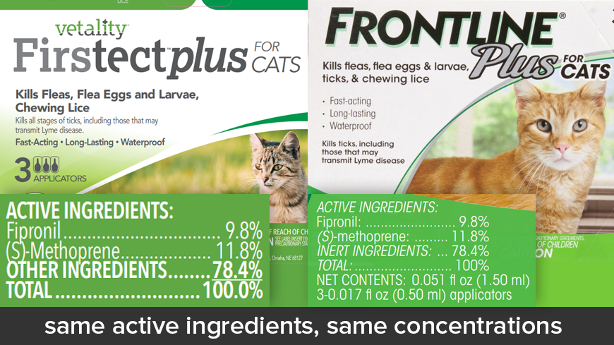 Firstect Plus for Cats vs Frontline Plus for Cats
