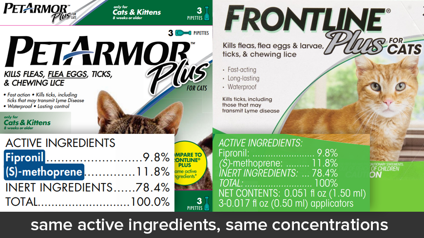 Generic Alternatives to Frontline Plus for Cats FleaScience